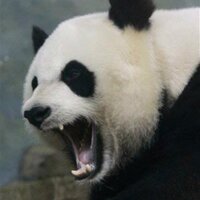 Keith Wittenstein (@forcedisttime) 's Twitter Profile Photo