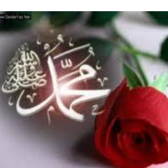 mustafakoca31's profile picture. https://t.co/570mzrDgIB