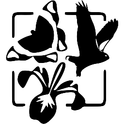 CSBQ-QCBS Profile