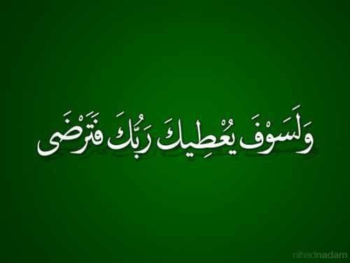 elsoloh's profile picture. 