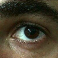 Javier Arribas (@javarribas) 's Twitter Profile Photo