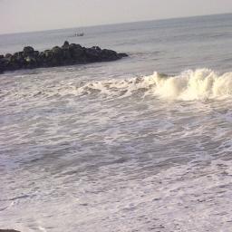 hidupituadil's profile picture. I dont know what twitter is