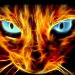 Clipping online jungle music for all junglist massive.
Plz mention me with wicked tune u know.

ragga - dancehall - classic - bass - dub - rave - amen - chip