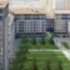 rayrahman0's profile picture. 