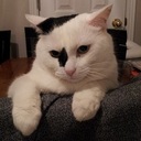 Collin Stevenson - @TerrificDad_420 - Twitter