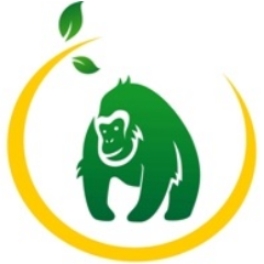A unique and innovative honey project to conserve the world’s critically endangered mountain gorillas and their rainforest habitat in the great Virunga region.