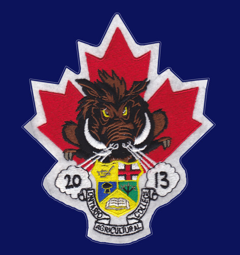 13Razorbacks's profile picture. 