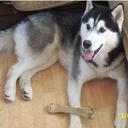 Edith Olivera - @olivera_edith - Twitter