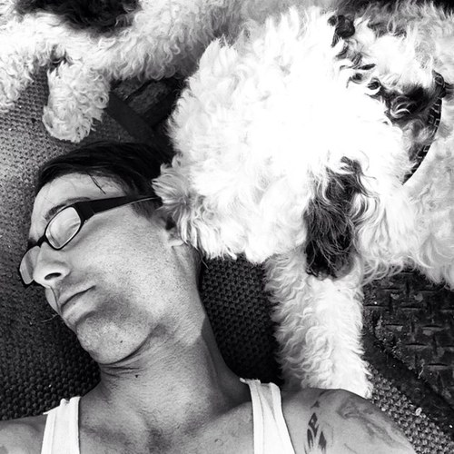 rookiemessenger's profile picture. 