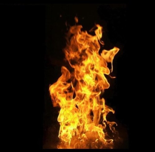 FIREvFIRE's profile picture. I am the voice of the people. Who gives a fuck what anyone else thinks. Live your life. Youre a fucking unicorn.