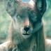 S.O.S (@rispentomate) Twitter profile photo S.O.S (@rispentomate) Twitter profile photo