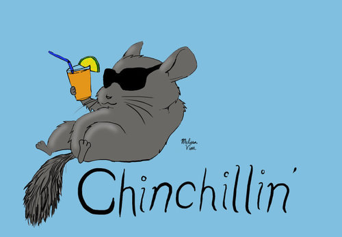 TehChiNChilla's profile picture. Gamer at heart, Watch my stream @ https://t.co/qINoaX9jW2
