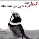 ali alsadiq - @ahalsadiq - Twitter