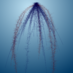 Root Biology News (@rootbiologynews) Twitter profile photo Root Biology News (@rootbiologynews) Twitter profile photo