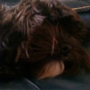 Abbie Wright - @Abbiedoo123 - Twitter