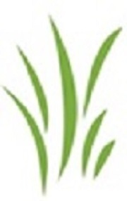 Since 2006 we have been testing for food sensitivities and helping those with them improve how they live their lives.
