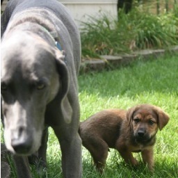 RyanRanch's profile picture. Attitude and gratitude.  Big sports and family fan. And laughter.🇲🇾 Wear a mask. I like my opinions, but you don't have to.