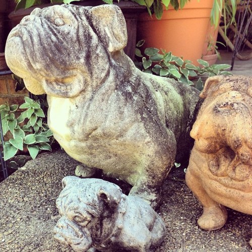 SmplyStarkville's profile picture. Living life the Starkville Way.         Supporting local, even when I roam.