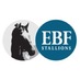 EBFstallions (@EBFstallions) Twitter profile photo