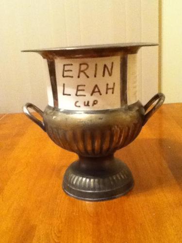 Official Twitter Page of the Erin Leah Cup Road Hockey Tournament. Tweets about Tournament Updates