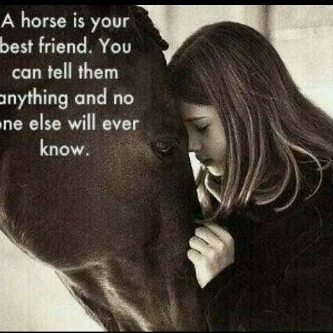 * Horses is my life♥ * sinds 3 mei '13' * wij houden van paarden/pony's♥  jij toch ook? VOLG ons dan !! voor de leukste paarden/pony♥ tweets *
