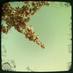 Laurence Bertrand (@bertran65448643) Twitter profile photo