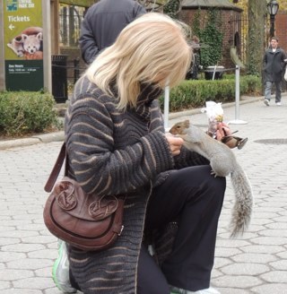 luciaarasil's profile picture. 