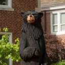 Bruce Bear Wingo - @BruceBearWingo - Twitter