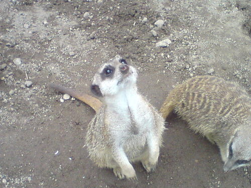 bobolinchen68's profile picture. 