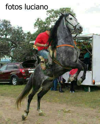 si tu vida es un tramo vivela de lado(siemprealcorte)
