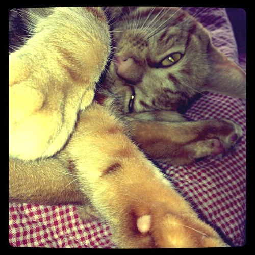 kirstendullens's profile picture. 