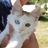 BolsomanAlberto's profile image