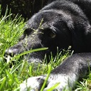 James Bickley - @cognitivearray - Twitter