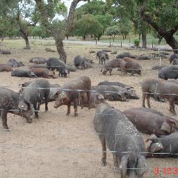 apcarrasco26's profile picture. 