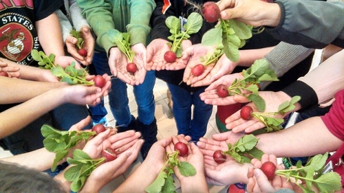 sisgarden's profile picture. 