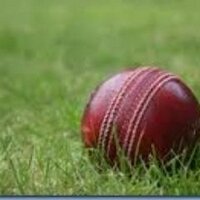 South Lincs Cricket (@slandbcricket) 's Twitter Profile