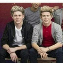 I love 1D especially Niall James Horan xx I'm a crazy mofos fan. I will RT tweets for you just ask.