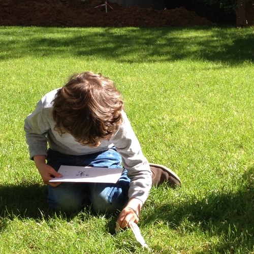 inesazais's profile picture. 