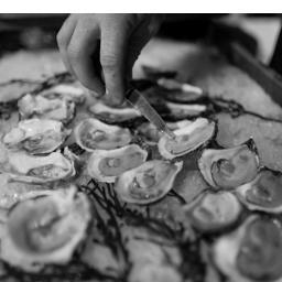 Bytowne's annual fest! Celebrating oysters, beer, food and music! June 25th, 2017 , 504A Kent St. This years event helps with support to @parkdalefood. thankyou