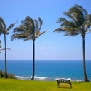 Ryan Rollins - @RRollinz - Twitter