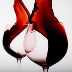 VinoSaurios's profile picture. 