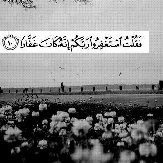 اذا مررت من هنا وتذكرت شخص فارق الحياه فلا تنسى الدعاء له فانها تؤنسه في وحدته اللهم ارحم موتانا وموتى المسلمين