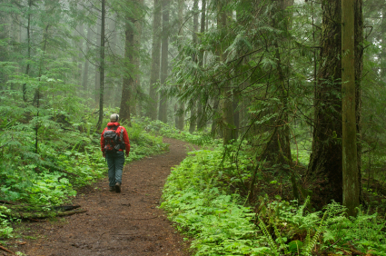 Building trails alliances in the Comox Valley and supporting the excellent work of existing local trail organizations. Become a member today!