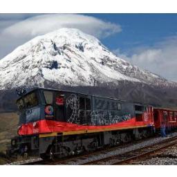 ChimborazoProgr's profile picture. 