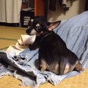 ☆異端審問会☆グッティー (@1975_1_1) Twitter