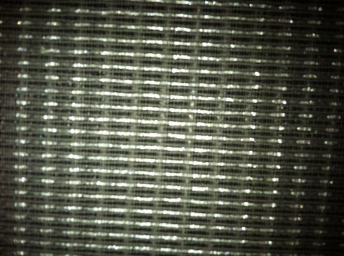 bwhiteback's profile picture. 