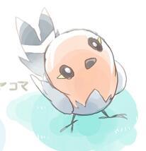 JpnsRobinPkmn's profile picture. .....* hides* ~im a happy little pokemon....just...shy~/ pkmn for x and y/ / type- flying - normal/ /Female lv 10/ /moves-Gust,peck,tackle/