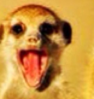 ClaireDardenne's profile picture. 