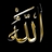AllahLovers's profile image