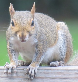 wurdaprtyat's profile picture. just another low key dad in ATL. got a belly? I’m interested.